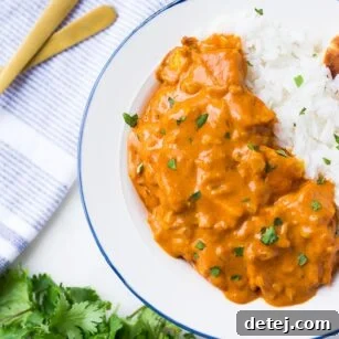 looking down on vegan butter chicken with rice, cilantro in background.