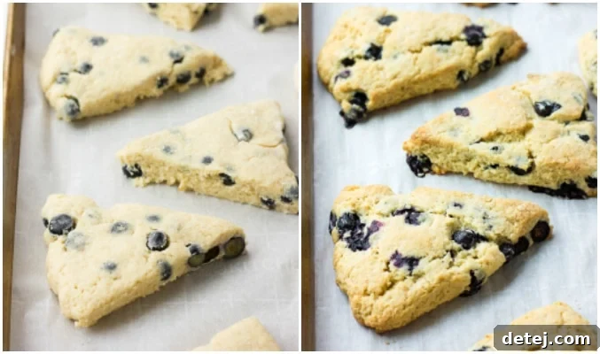 A collage showcasing both unbaked and freshly baked vegan blueberry scones on a baking sheet, illustrating the transformation.