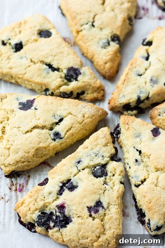 A close-up of unglazed vegan blueberry scones, golden and inviting, ready for the optional sweet drizzle.