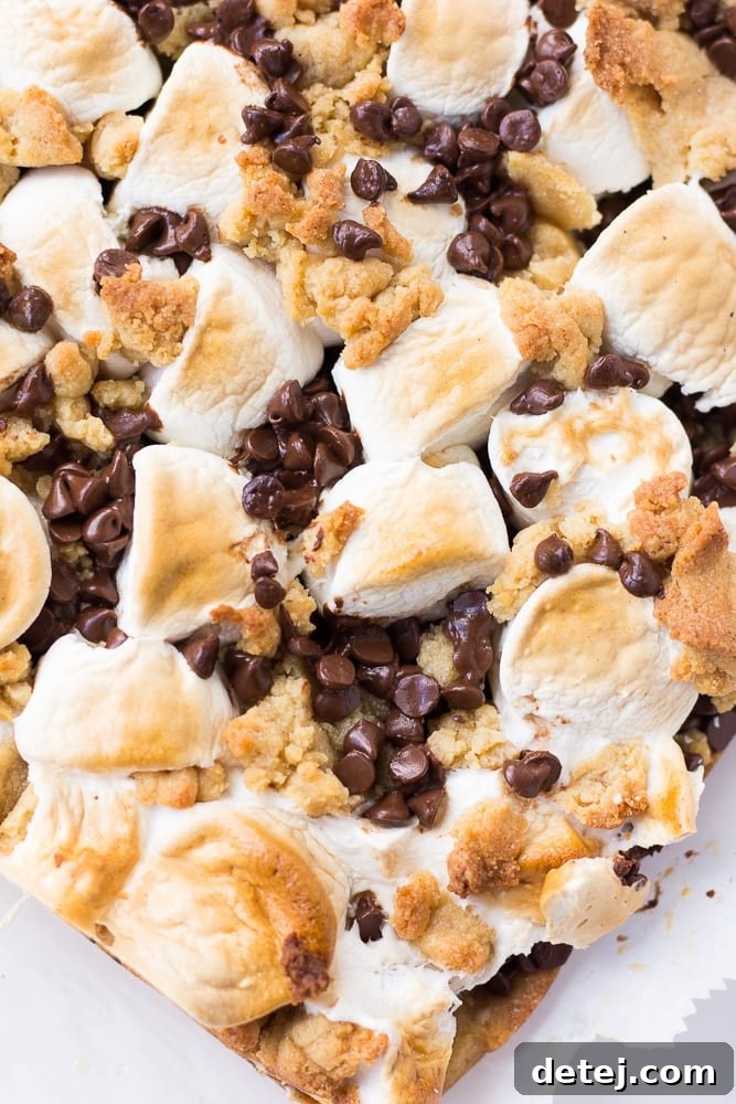 A close-up view of whole, unsliced vegan s'mores cookie bars in a pan, showing the rich layers before cutting.