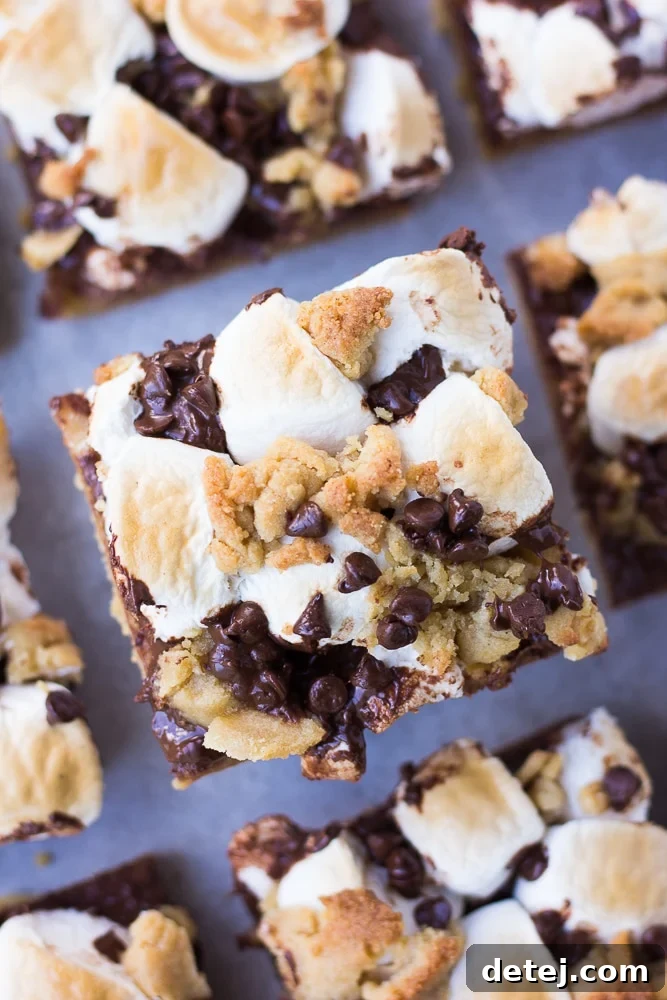 Looking down closely at vegan s'mores cookie bars, highlighting the details of the toasted marshmallows and melted chocolate in a rustic setting.