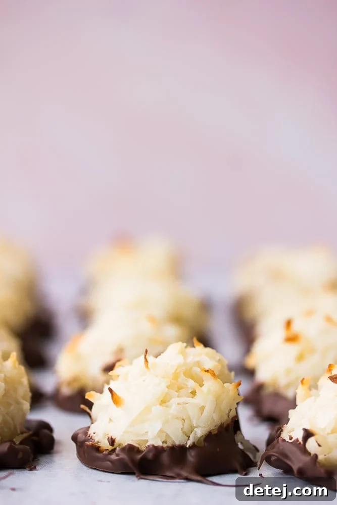 Top-down view of vegan coconut macaroons, some plain and some dipped in dark chocolate, arranged on a pink background.