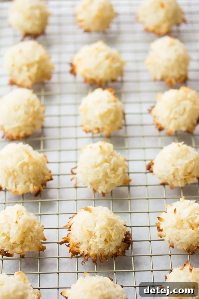 Freshly baked vegan coconut macaroons cooling on a wire rack, showing their golden brown color and consistent shape.