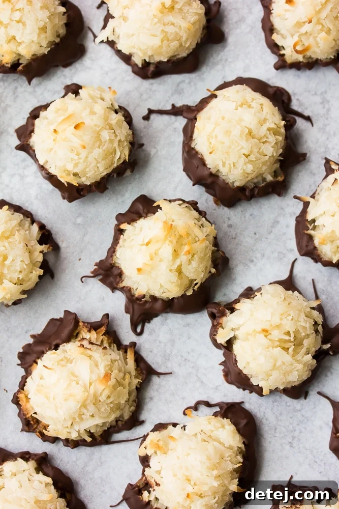 A close-up shot of several vegan coconut macaroons, half-dipped in rich dark chocolate, resting on a textured grey background.