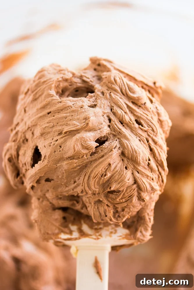 A close-up view of fluffy chocolate frosting on a spatula, illustrating its perfect, spreadable consistency and rich color.