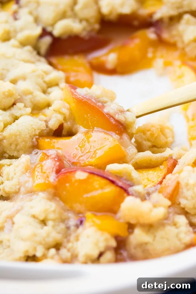 Homestyle Vegan Peach Cobbler 3 A warm vegan peach cobbler, fresh out of the oven, with a golden spoon resting in the bubbling peach filling.