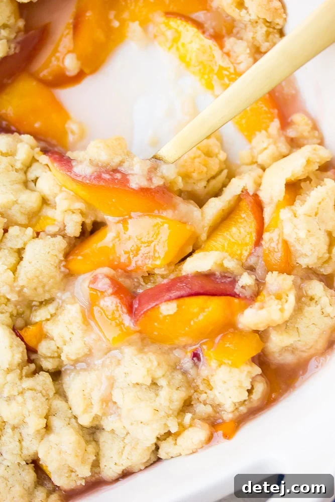 Homestyle Vegan Peach Cobbler 5 A close-up shot of the warm vegan peach cobbler in a baking dish, with a gold spoon scooping out a portion, highlighting the bubbling fruit and golden topping.