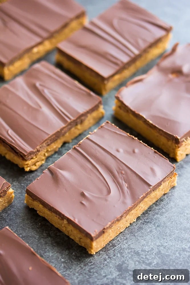 A delicious close-up side view of a Vegan Chocolate Peanut Butter Bar against a clean black and grey background, showing off its irresistible layers.
