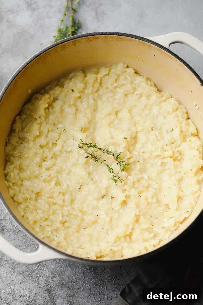 pot full of creamy rice