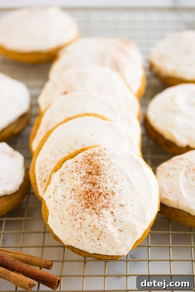 lined up vegan pumpkin cookies on a cooling rack, freshly baked.