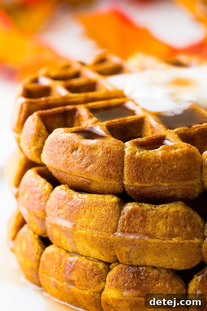 close-up of vegan pumpkin waffles topped with vegan whipped cream, ready to be served