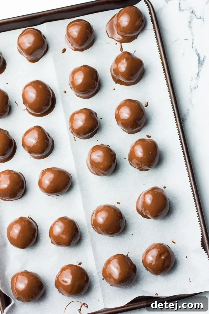 Many chocolate-dipped vegan peanut butter balls arranged neatly on a parchment-lined baking pan, freshly coated and ready to set.