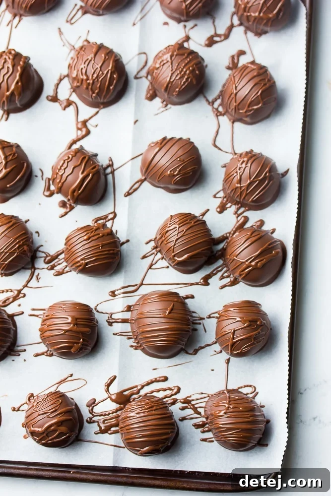Vegan chocolate peanut butter balls drizzled with extra melted chocolate, creating an elegant visual finish.