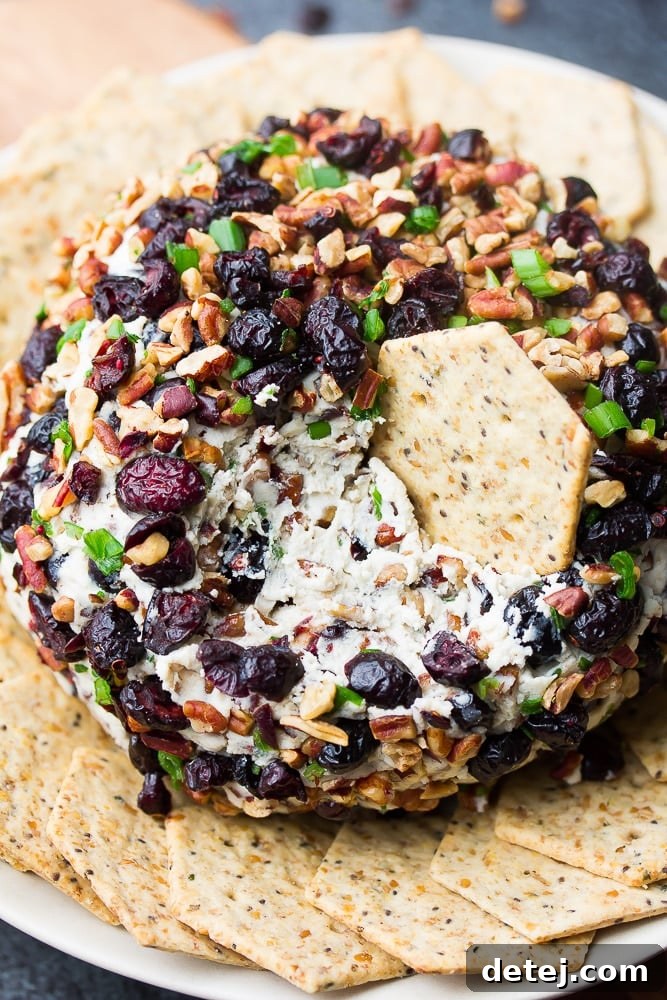 A close-up of the vegan cranberry pecan cheese ball with a cracker stuck into it, ready to be scooped and enjoyed.