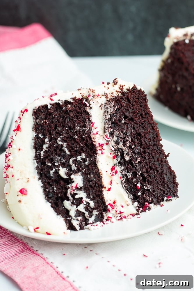 piece of vegan peppermint mocha cake on a white plate with crushed candy canes