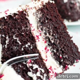 close up slice of cake with fork taking a bite