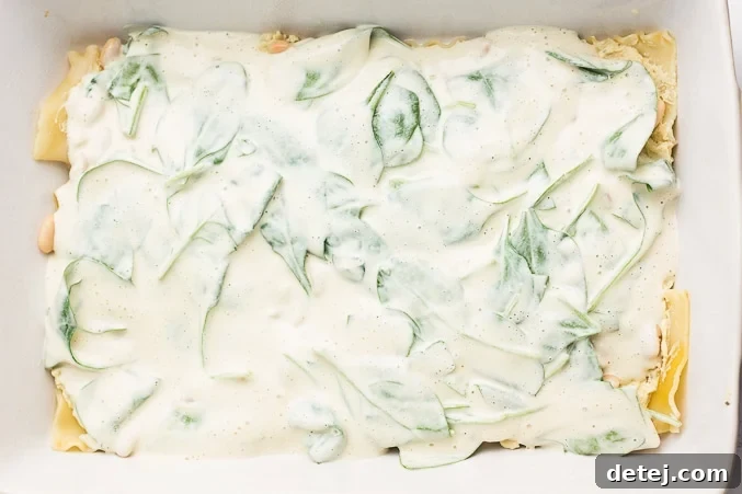 A vibrant layer of spinach and white sauce is spread over the white beans and ricotta, forming a key component of the Vegan White Lasagna layers.