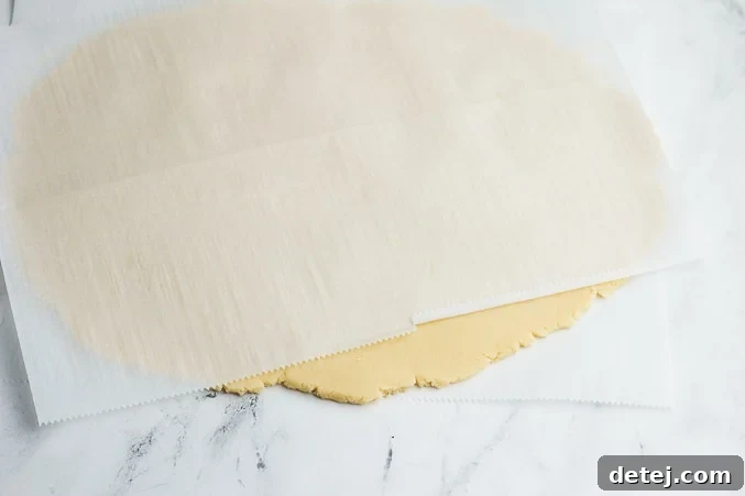 Vegan shortbread cookie dough rolled evenly between two sheets of parchment paper.