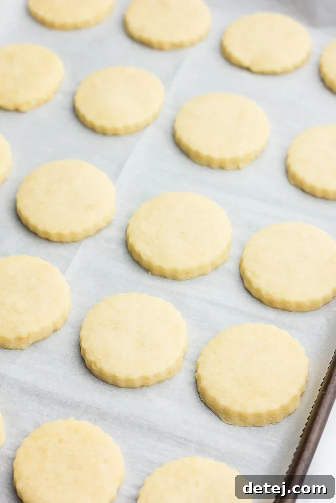 Unbaked shortbread cookies neatly arranged on a baking sheet before going into the oven.