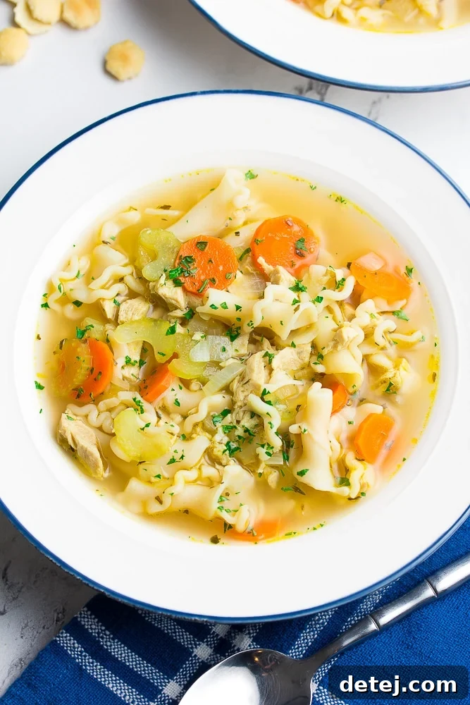 A beautifully presented bowl of vegan chicken noodle soup with a blue rim, filled with golden broth, noodles, and vibrant vegetables, garnished with fresh herbs.