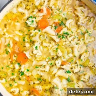 close up of pot of vegan chicken noodle soup