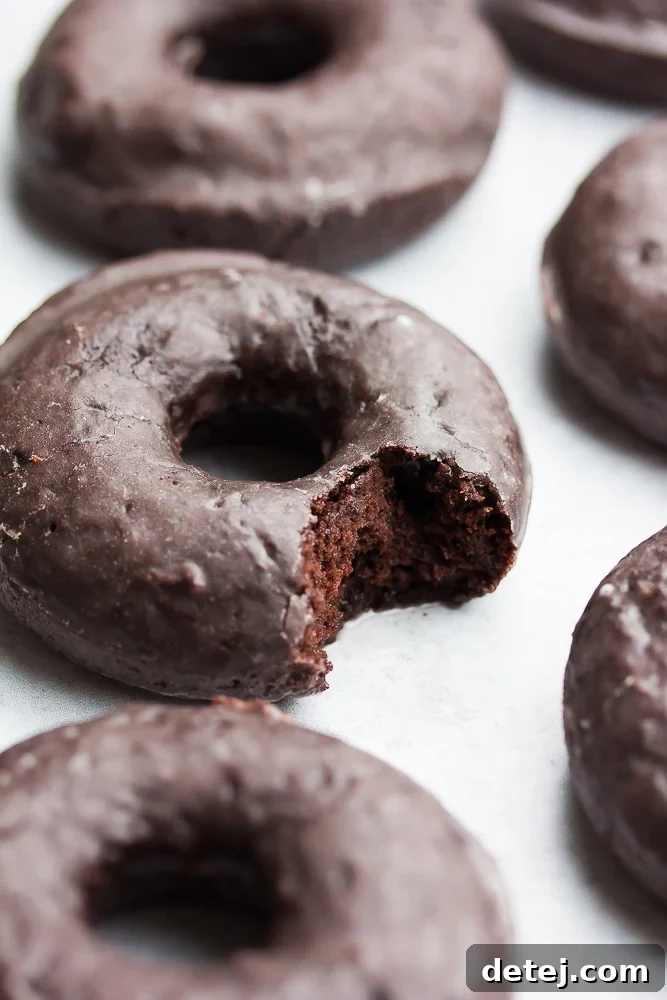 A delicious vegan chocolate glazed donut with a bite taken out, revealing its fluffy, dark chocolate interior, set against a soft grey background.
