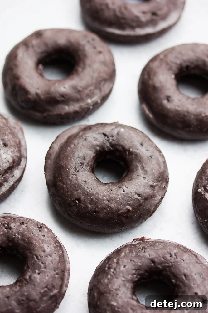 A generous display of multiple freshly baked vegan chocolate glazed donuts, artfully arranged on a clean grey background, ready to be enjoyed as a delightful vegan treat.