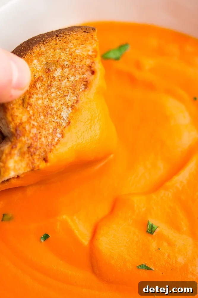 A vegan grilled cheese sandwich being dipped into a bowl of creamy vegan tomato soup, showcasing its perfect dipping consistency.