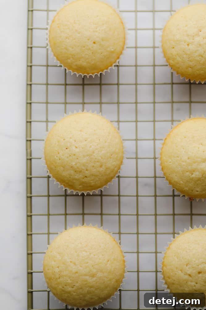 A batch of freshly baked, unfrosted vegan vanilla cupcakes cooling on a wire rack, their golden-brown tops inviting.