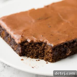 square featured image of a piece of cake