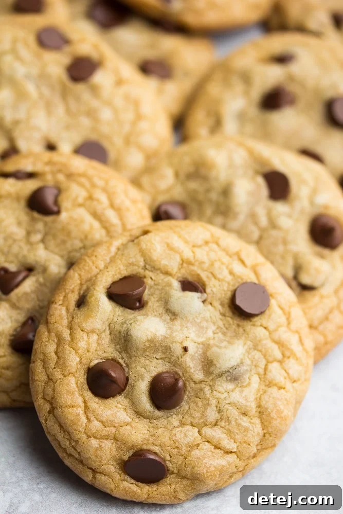 A close-up of a delectable pile of freshly baked coconut oil chocolate chip cookies, showcasing their golden-brown edges and abundance of rich chocolate chips.
