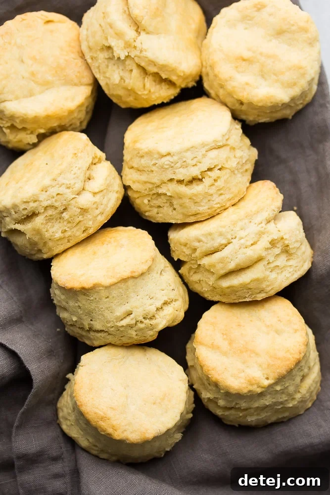 A row of golden-brown Southern-style vegan buttermilk biscuits on a grey linen towel, showcasing their tall, flaky layers and inviting texture.