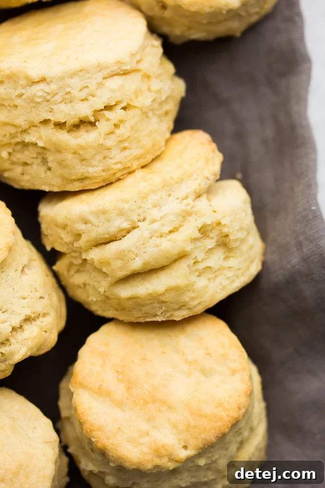 A close-up shot of a single golden-brown vegan buttermilk biscuit, resting on a grey linen towel, perfectly showcasing its intricate flaky layers and soft, tender interior.