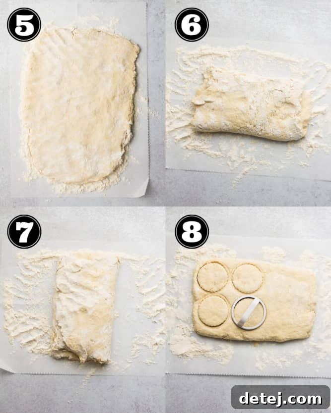 A visual collage demonstrating the crucial folding technique for vegan biscuit dough. The images show how to layer and turn the dough multiple times to create the internal structure necessary for flaky results, culminating in cutting the dough with a biscuit cutter.