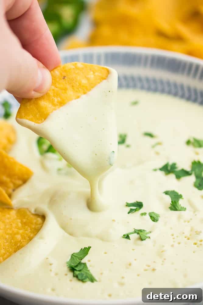 chip dipping into white cheese in bowl with cilantro