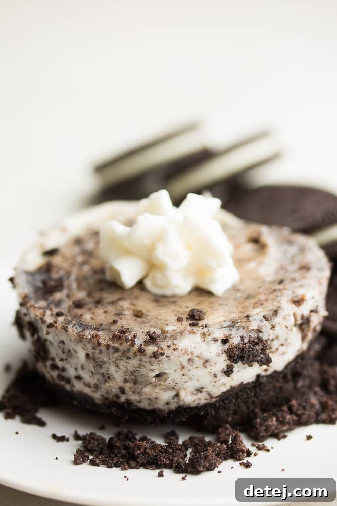 A close-up side view of the vegan Oreo mug cheesecake, showing the distinct layers of rich cookie crust and creamy cheesecake filling.