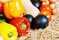 Savor September’s Harvest The Joys of Seasonal Eating