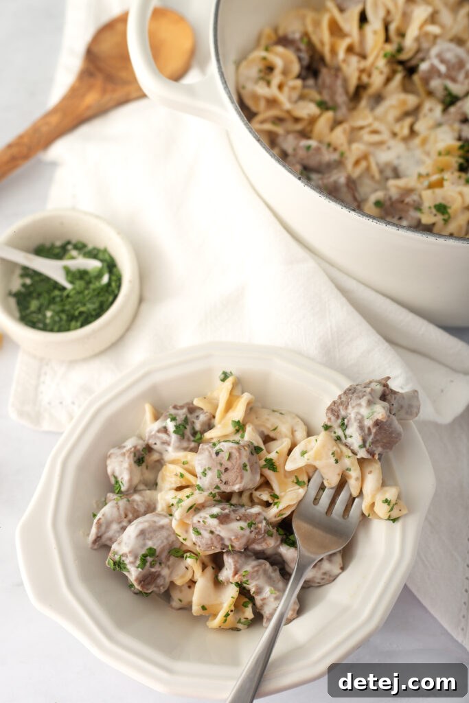 Cooked egg noodles ready to be combined with stroganoff