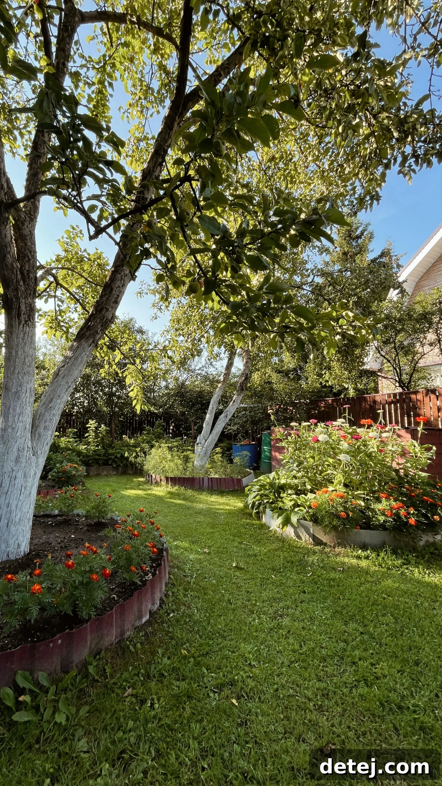 Used coffee grounds enrich soil and deter pests