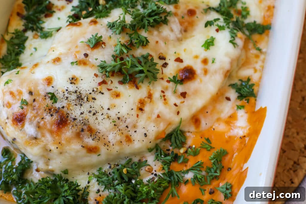 Freshly baked chicken in cashew sauce, garnished with parsley and bubbly, melted mozzarella, ready to serve.