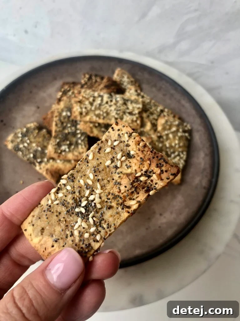 2 Ingredient Gluten Free Tofu Crackers, Healthyish Brand