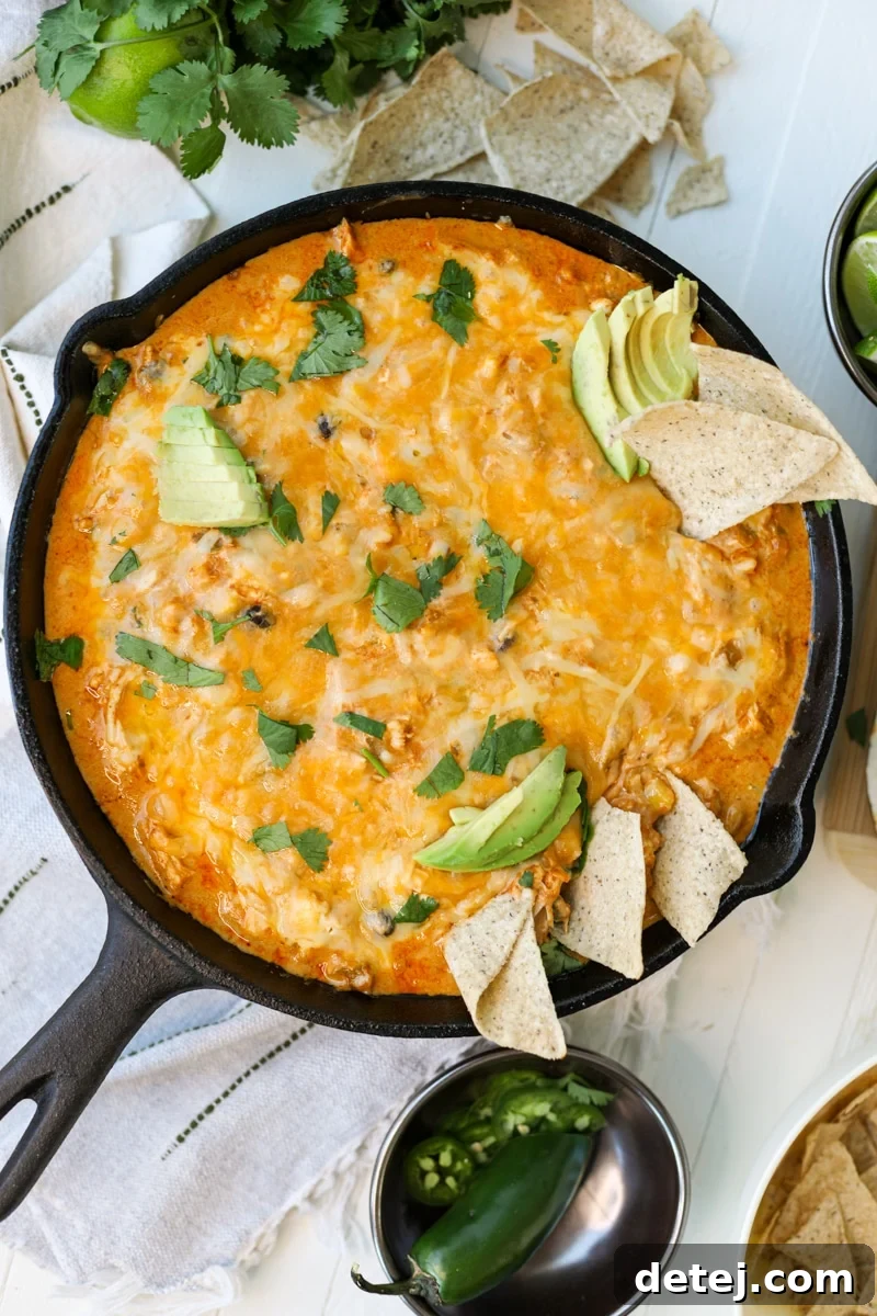 Deliciously cheesy Chicken Enchilada Dip served hot with golden tortilla chips, perfect for sharing at parties and casual gatherings.