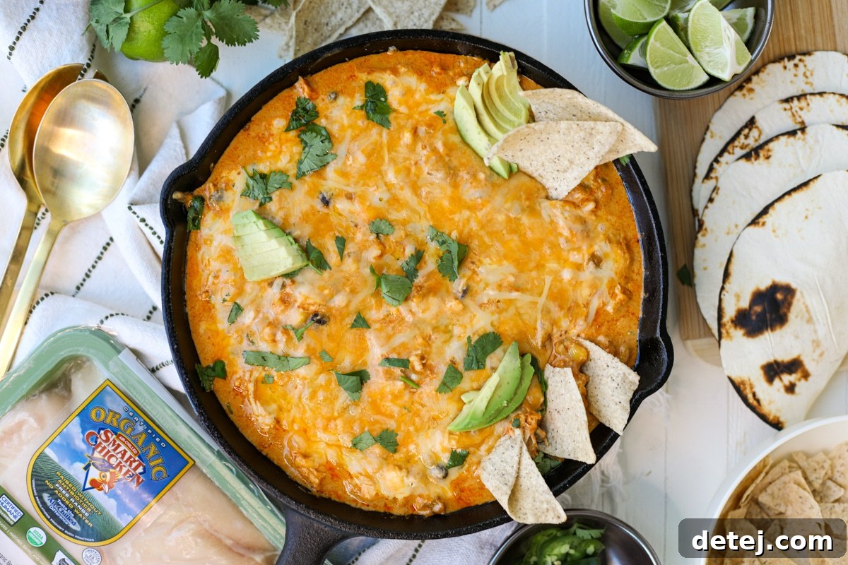 Hearty Chicken Enchilada Dip in a cast iron skillet, with a serving spoon ready to scoop into crispy tortilla chips.