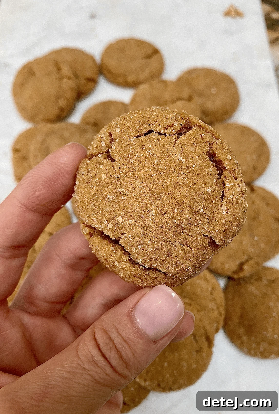 Zesty Ginger Snaps 3 Close-up of baked gingersnap cookies cooling on a wire rack, showing their characteristic cracked tops.