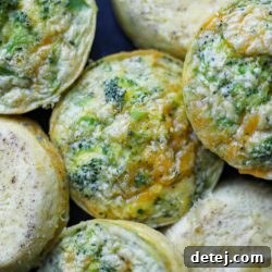 Broccoli Cheddar Blender Egg Bites – Healthyish Foods