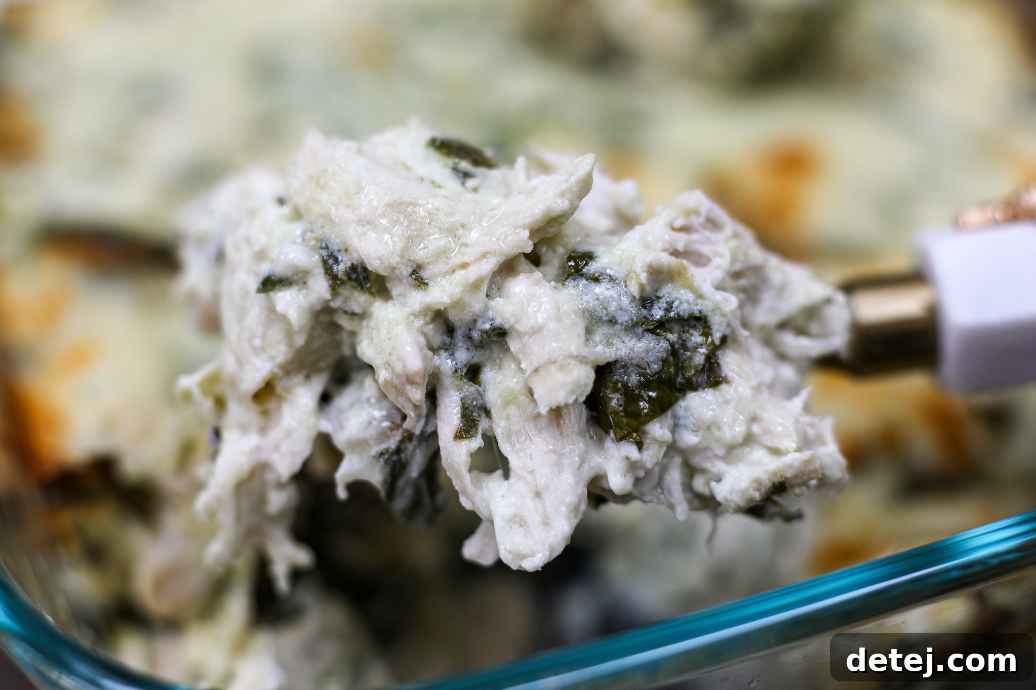 Chicken Spinach Artichoke Dip served warm – Healthyish Foods