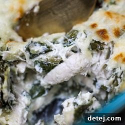 Chicken Spinach Artichoke Dip – Healthyish Foods