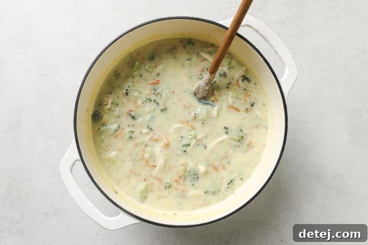 Creamy soup with visible pieces of chicken and broccoli simmering gently in a large pot on the stove.