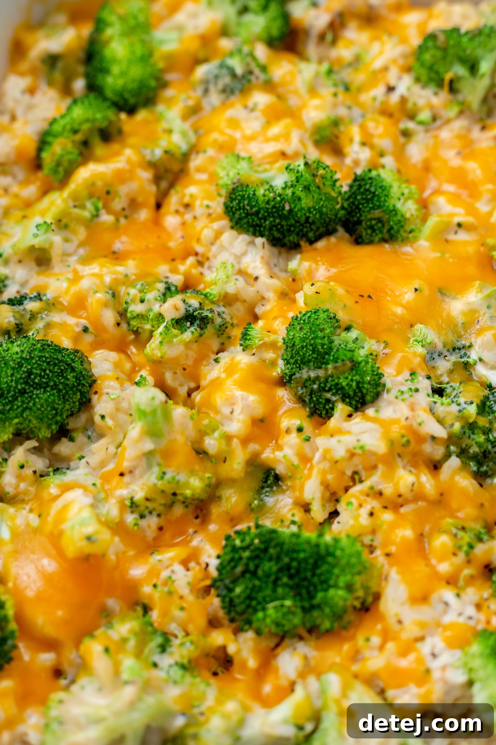 An overhead shot of an assembled chicken broccoli rice casserole in a baking dish, before being baked, showing layers of ingredients.