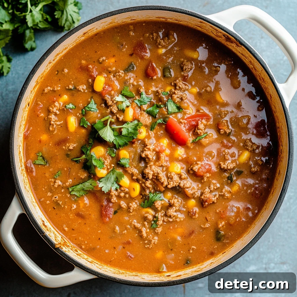 Ground Beef Enchilada Soup with fresh ingredients